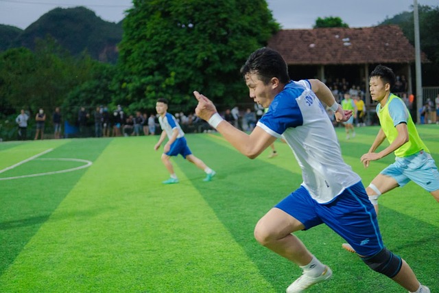 不仅在国内